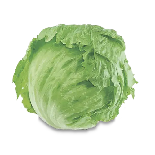 Lechuga Batavia Granel Kg