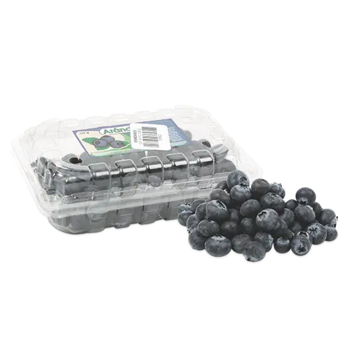 Arandanos Estuche 125 g