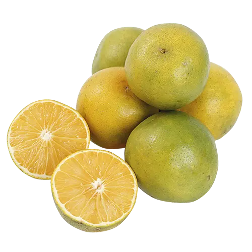 Naranja Valencia Granel