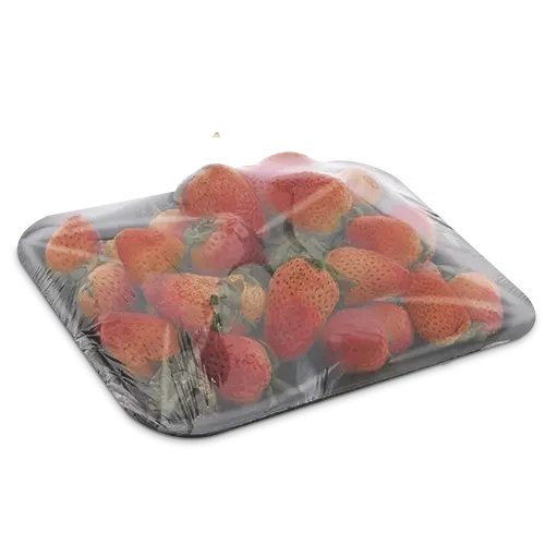 Fresa Tercera Bj 500 g
