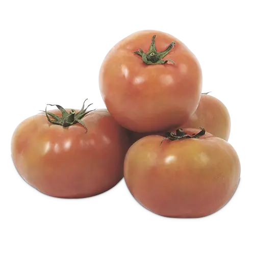 TOMATE LARGA VIDA EXTRA KG