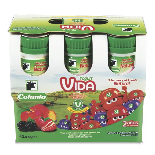 YOGURT VIDA SURTIDO 100GX6U