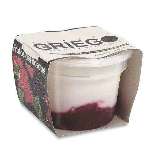YOGURT GRIEGO DEJAMU FRUTOS DEL BOSQUE 160G