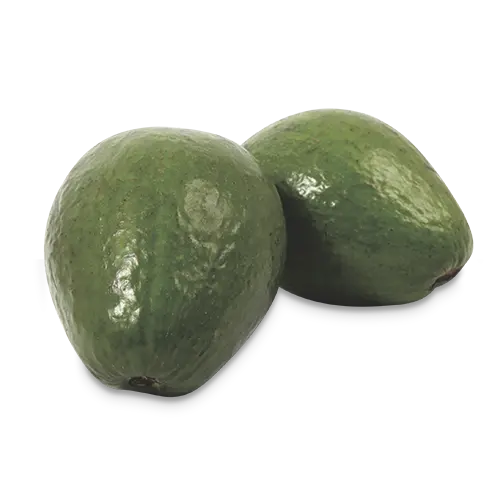 AGUACATE KG