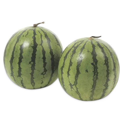 PATILLA BABY KG