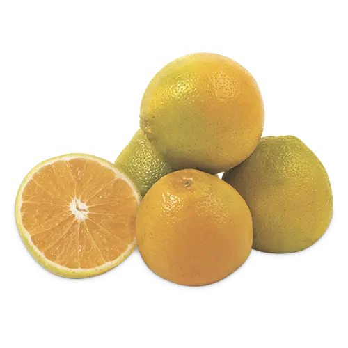 Naranja Nacional Tangelo Kg