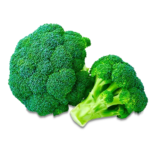 BROCOLI KG