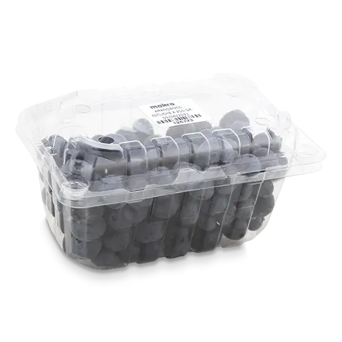 ARANDANOS ESTUCHE 250G