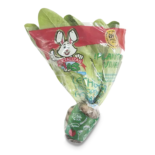 LECHUGA ROMANA HIDROPONICA 180G