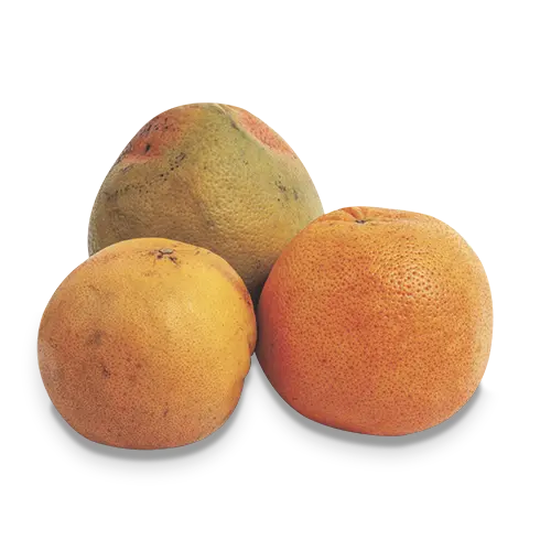 Naranja Toronja Kg