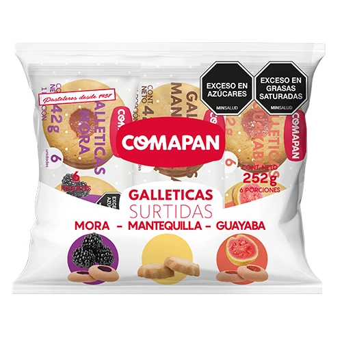 GALLETA COMAPAN SURTIDAS 252GX6U