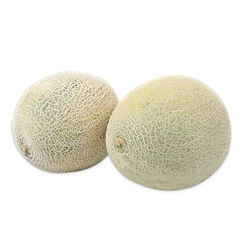 Melon Kg